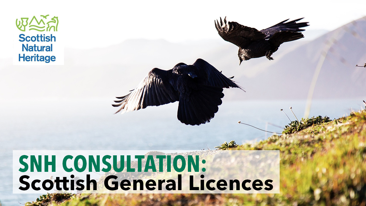 SNH consultation Scottish general licences